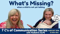 Therapists Register For This Course #0016 The 7 C’s of Communication
